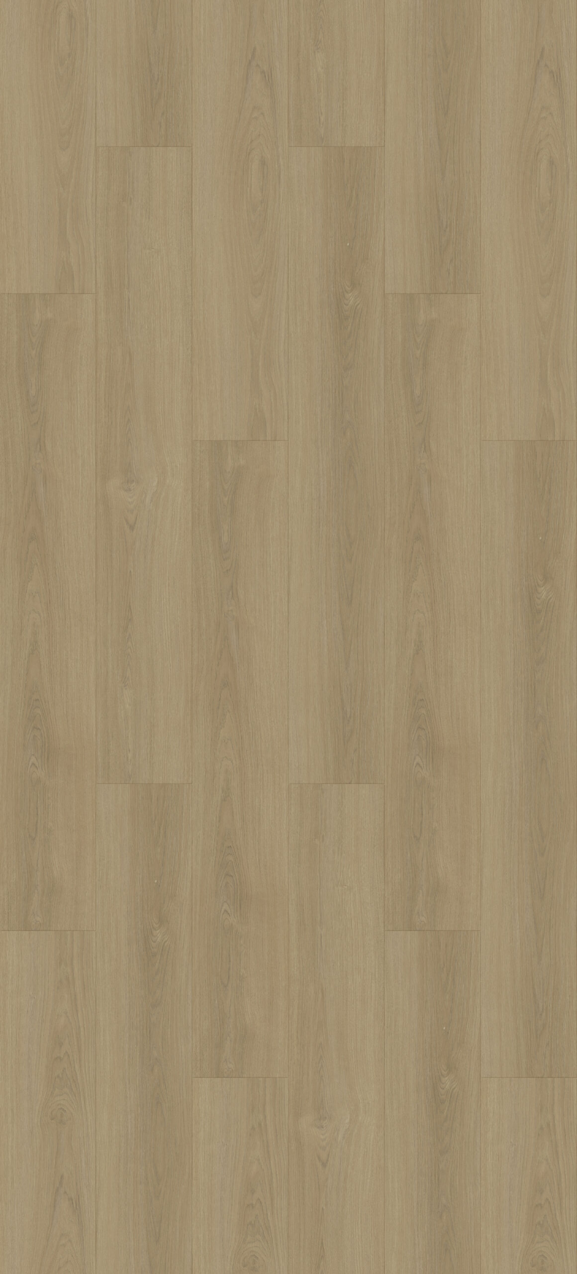 mo5368l 12 230x1524 longboard installation scaled
