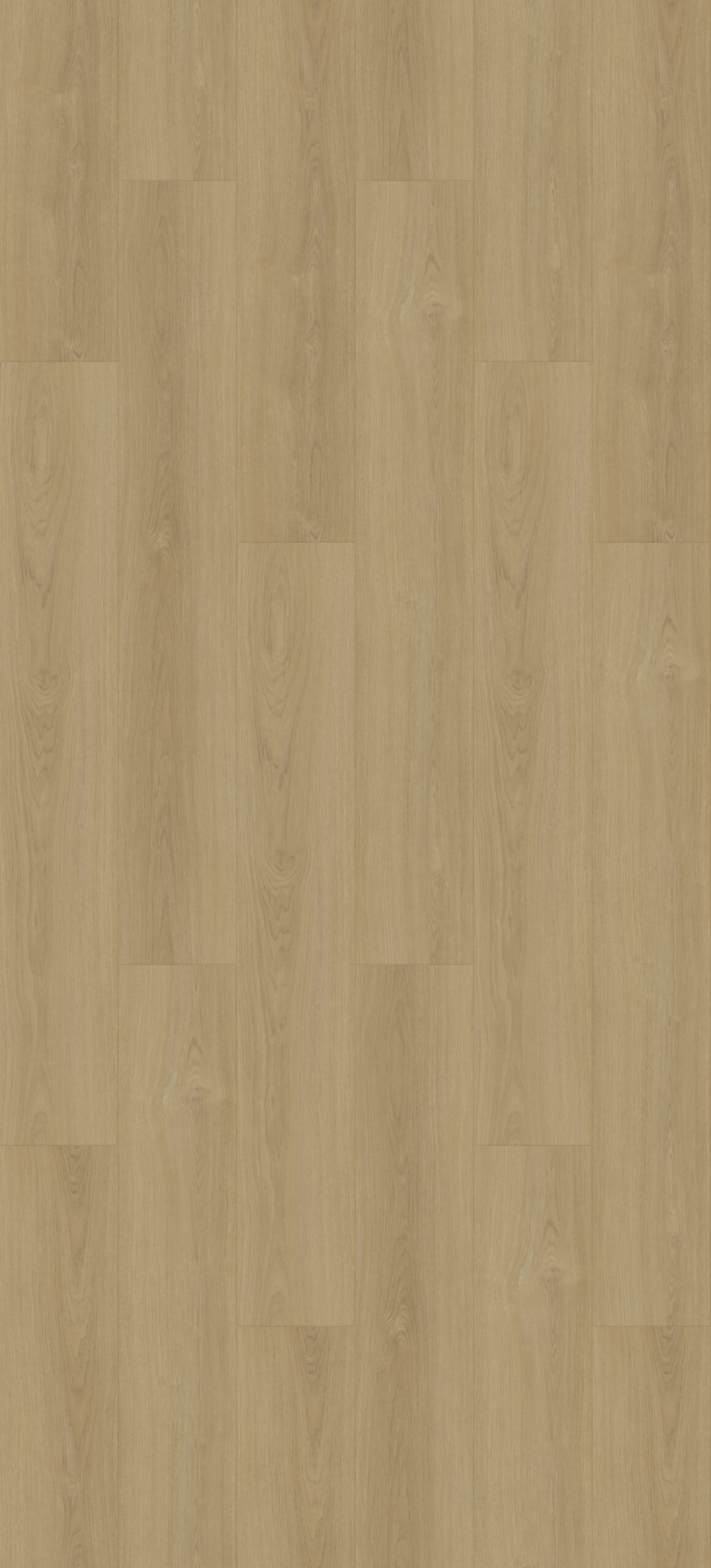 mo5368l 8 230x1524 longboard installation scaled
