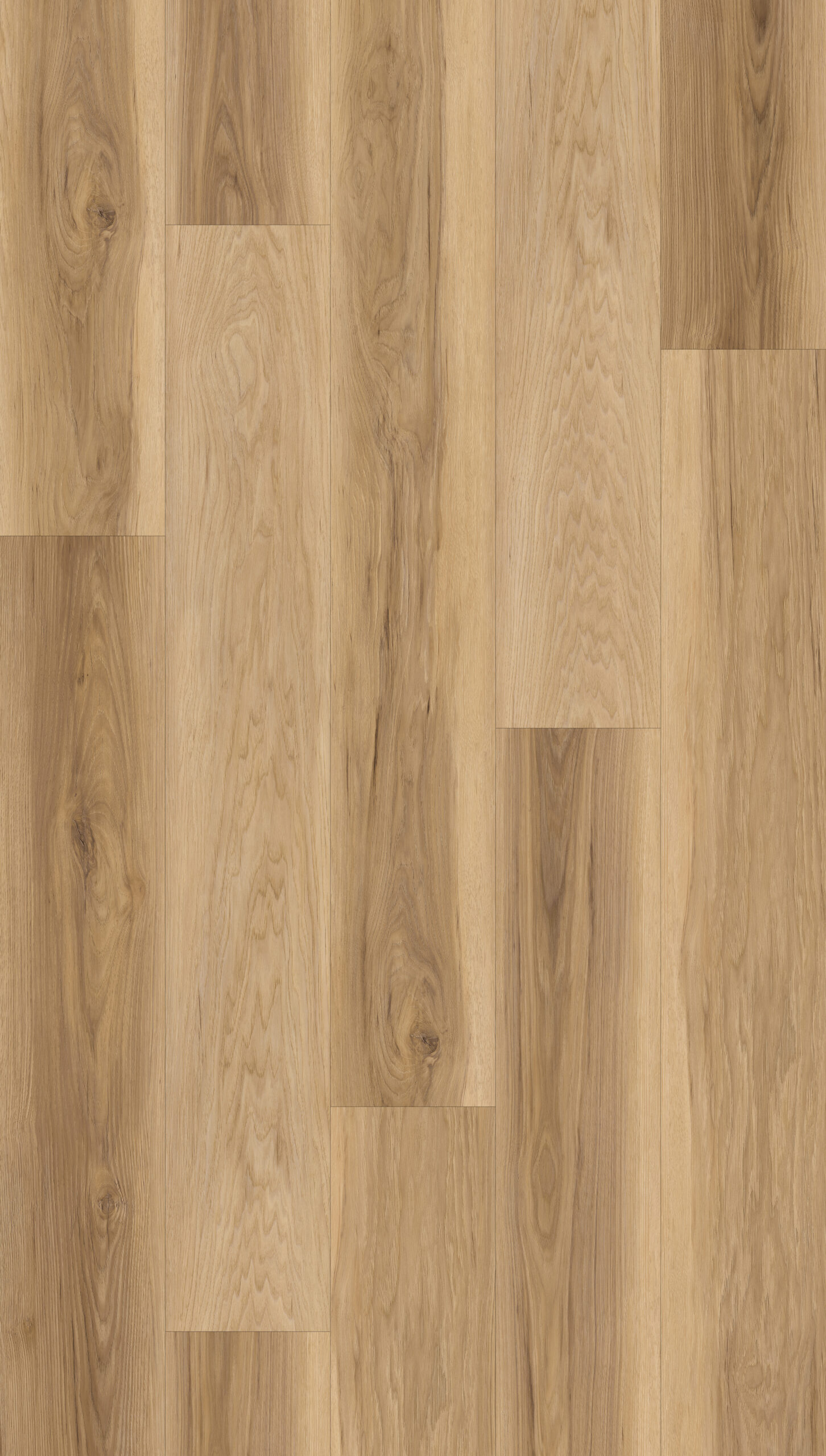 warm oak i scaled